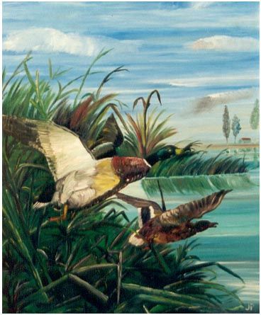envolees canards - Peinture - jean paul gahinet 
