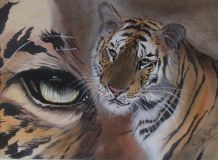 L'artiste atelier graef - l'oeil du tigre