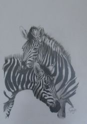 L'artiste atelier graef - couple de zebres