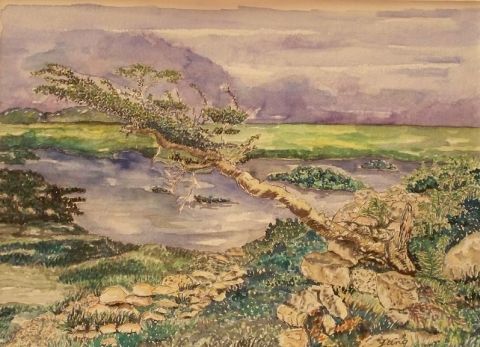 Paysage du marais - Peinture - savanna Yung 