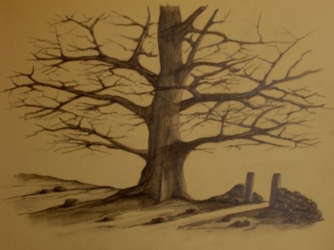 L'artiste Philippe Guillemard - passage près d'un arbre