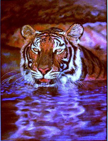 L'artiste domnanteuil - Tête de tigre