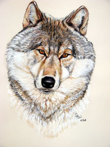 Le loup gris - Peinture - Alain
