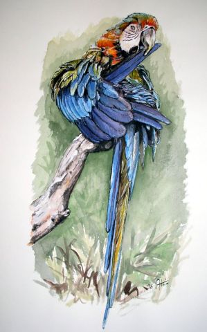 Le ara bleu - Peinture - Alain