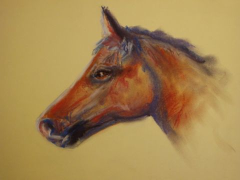 L'artiste Philippe Guillemard - cheval 3 couleurs