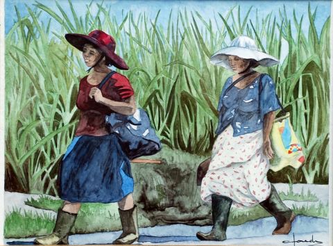 En redescendant des champs d'ananas - Peinture - Caroline HARDY