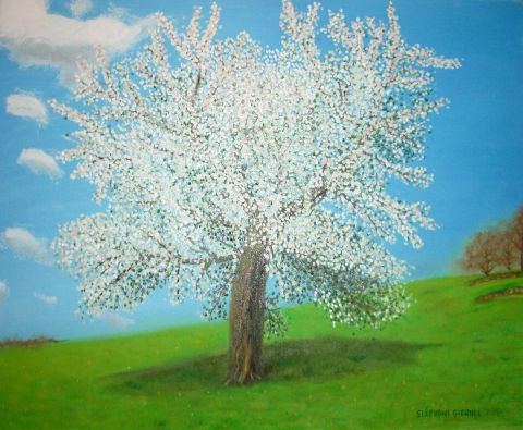 cerisier en fleur - Peinture - Gicquel stephane