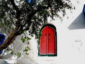 Voir cette oeuvre de volontaire: Petite porte rouge (Sidi Bou Said)