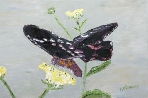 Voir cette oeuvre de Le Champenois: Papillon 6