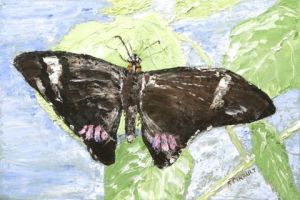 Voir cette oeuvre de Le Champenois: Papillon 5