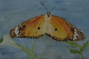 Voir cette oeuvre de Le Champenois: Papillon 1