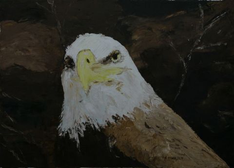 Aigle pygargue à tête blanche - Peinture - Le Champenois
