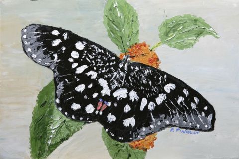 L'artiste Le Champenois - Papillon 4