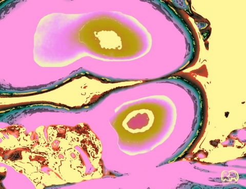 Nacita - Art numerique - Richard Miossec
