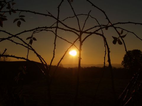 Coucher de soleil - Photo - olympia