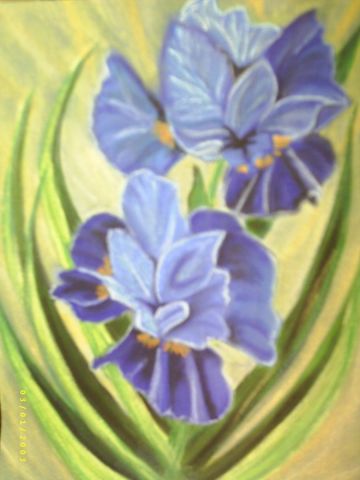L'artiste cat - les iris bleus
