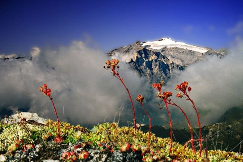 En Valais - Photo - Alain Gaymard