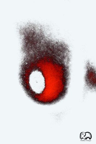 Sein - Art numerique - Richard Miossec