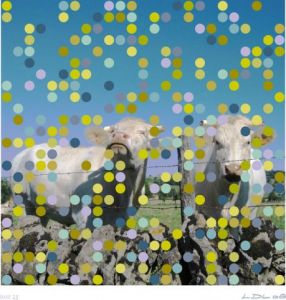 Voir cette oeuvre de Laurent DUBOIS-LOYA: Les deux vaches, base 25