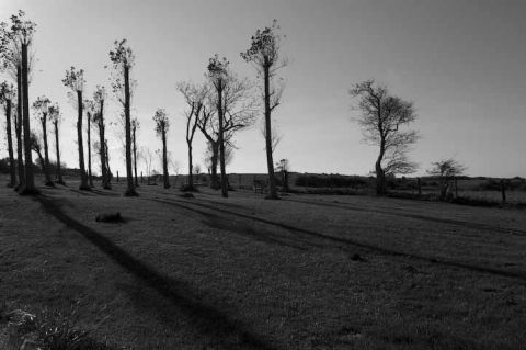 Tardinghen (France) - Photo - Gregory Jamsin