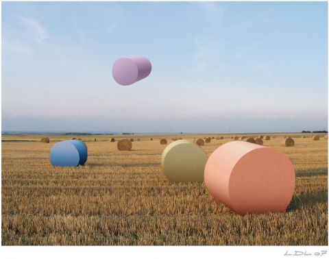 Dans-les-champs - Art numerique - Laurent DUBOIS-LOYA