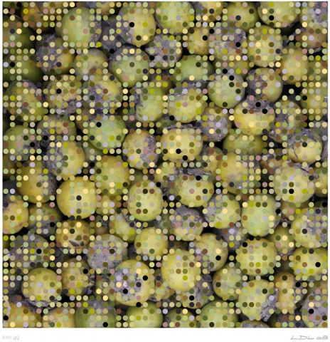 Les fruits du march�, base 49 - Art numerique - Laurent DUBOIS-LOYA