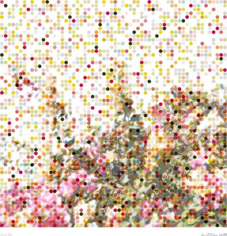 La po�sie des fleurs, base 60 - Art numerique - Laurent DUBOIS-LOYA