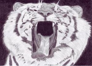 Voir le détail de cette oeuvre: Tigre rugissant !