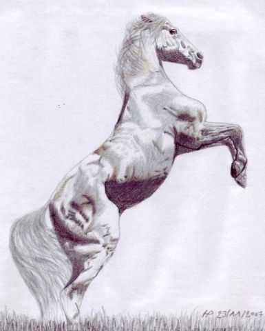 L'artiste Chtipat - Cheval blanc