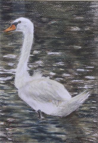 L'artiste Maaike Poog - The swan