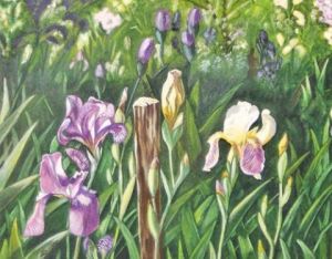 Peinture de Arlette BONIDAN: champ d'iris en Occitanie