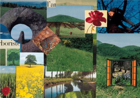 L'arboriste - Collage - Francois Geal