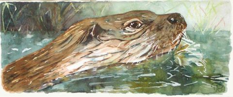 ceci est une loutre - Peinture - atelier mauve
