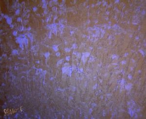 Peinture de Geritzen: Bleuets dans la nuit