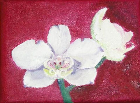 fleur 1 - Peinture - Heloise D