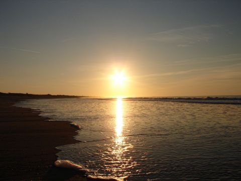 ile de r� - Photo - ROne