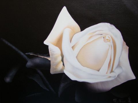 Rose blanche - Peinture - Claudine Friant