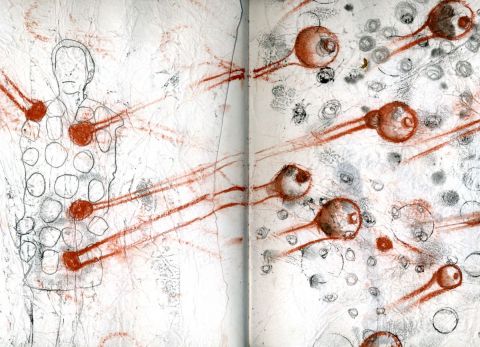 extansion corporel 1 - Dessin - sdaa