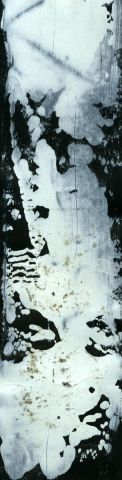 la nuit 2 - Peinture - sdaa