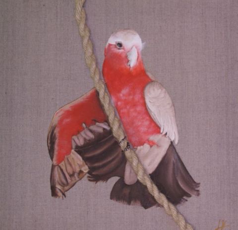 L'artiste marie - perroquet