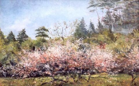 L'artiste serge leduc  - arbre en fleurs