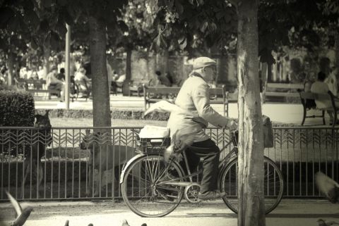 L'homme Aux Pigeon - Photo - nikky