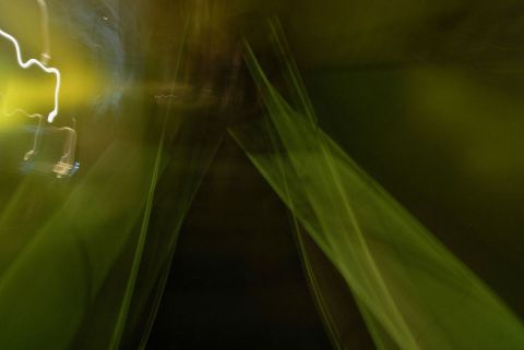 impression vegetale - Photo - EdouardS
