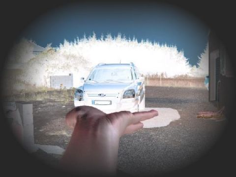 dans la paume de ma main - Photo - malepere