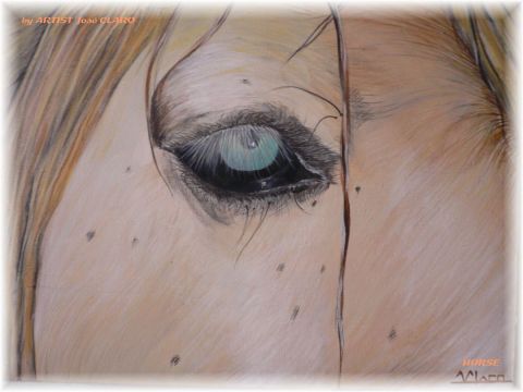 L'artiste Jose CLARO - HORSE