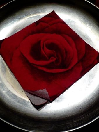 Rose en visite mystique - Photo - DANIEL FAGES