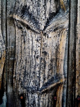 Une beaut� de porte aux traits marqu�s - Photo - DANIEL FAGES