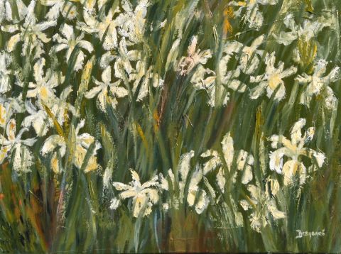 Iris jaunes - Peinture - Desgagne