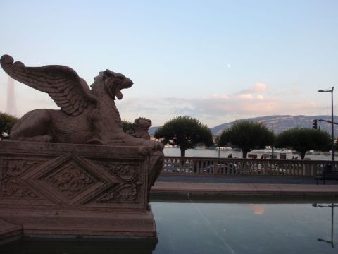 lion sur la rade - Photo - viviancrettol