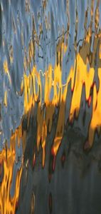 Voir cette oeuvre de Didier LORENTZ: Flamme jaune